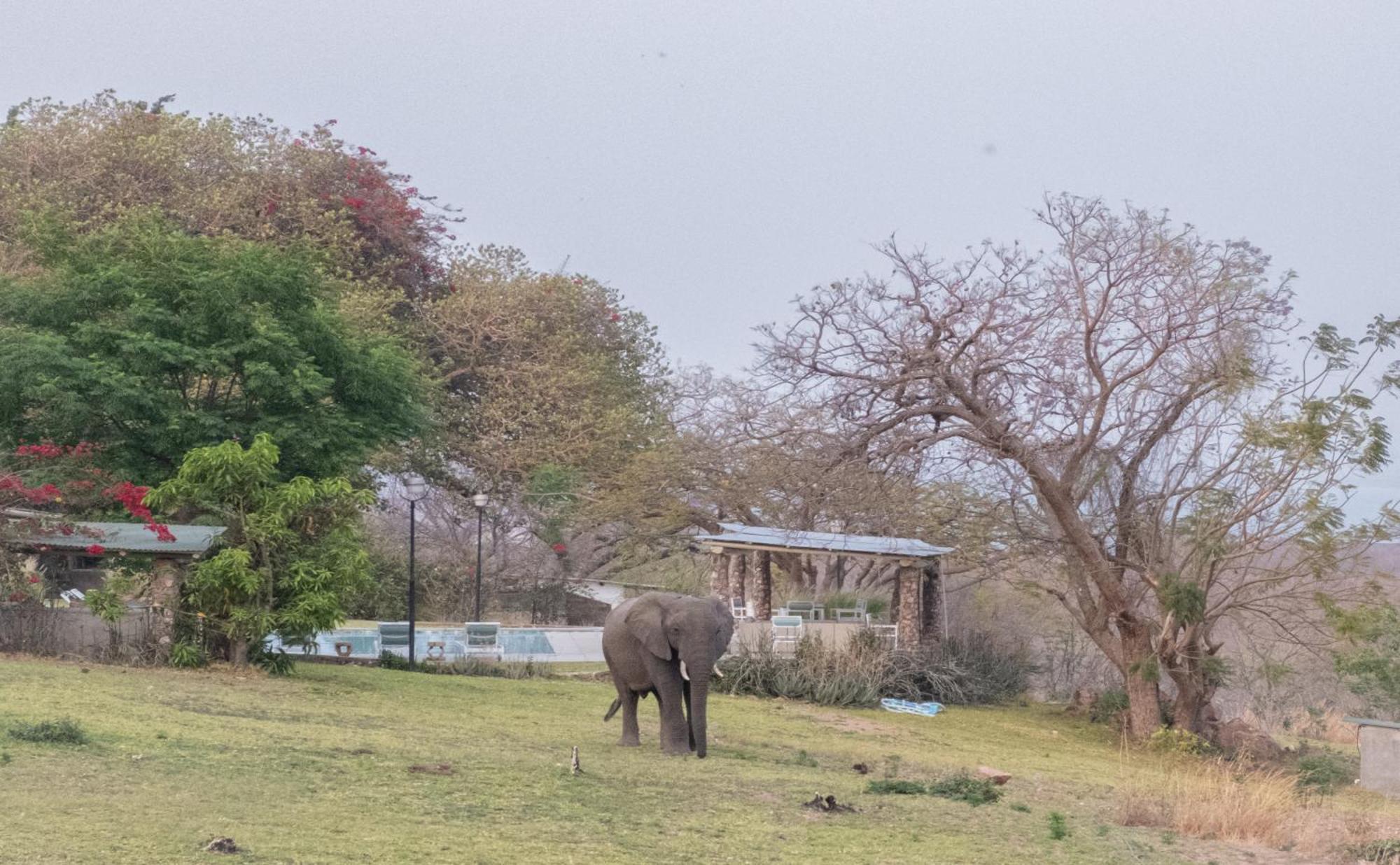 Musungwa Safari Lodge Shanjungu Ngoại thất bức ảnh