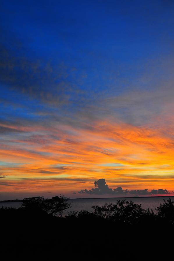 Musungwa Safari Lodge Shanjungu Ngoại thất bức ảnh